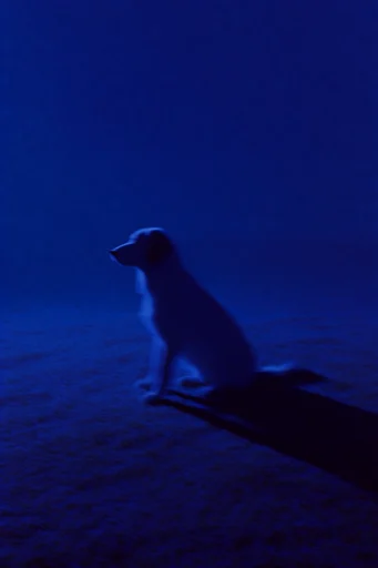 Nocturnal Ultramarine Minimalism style reference image — deep cobalt atmosphere