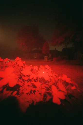 Nocturnal Crimson Infrared style reference image — dreamlike hazy texture