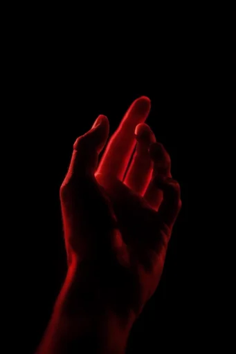 Cinematic Neon Noir style reference image — saturated gel lighting