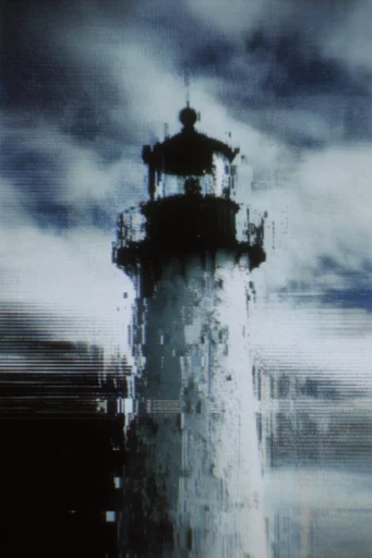 Monochrome Analog Glitch style reference image — high-contrast grain