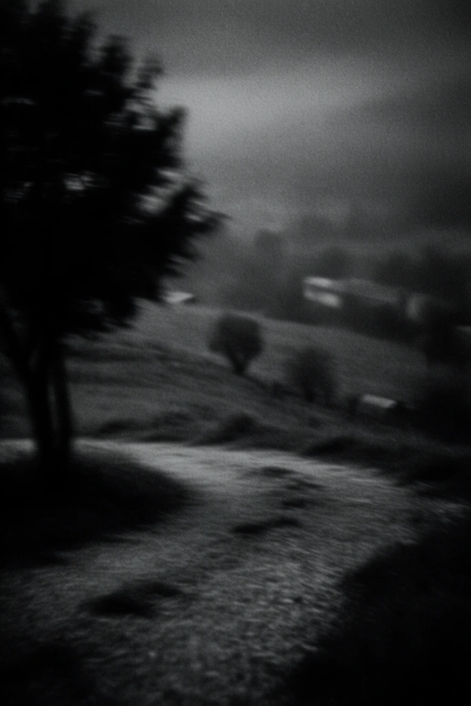 Cinematic Monochrome Noir style AI image example 2