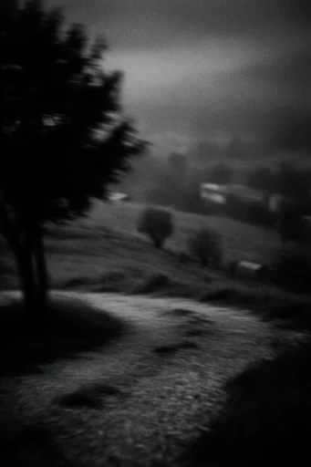 Cinematic Monochrome Noir style reference image — high contrast monochrome