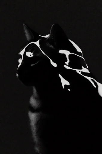 Luminous Noir Minimalism style reference image — minimalist noir