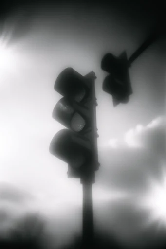 Ethereal Monochrome Noir style reference image — heavy film grain