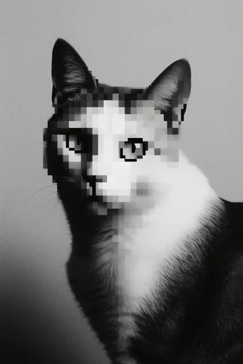 Monochrome Digital Entropy style reference image — analog texture