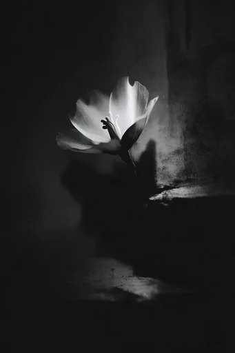 Spectral Gothic Noir style reference image — spectral silhouette