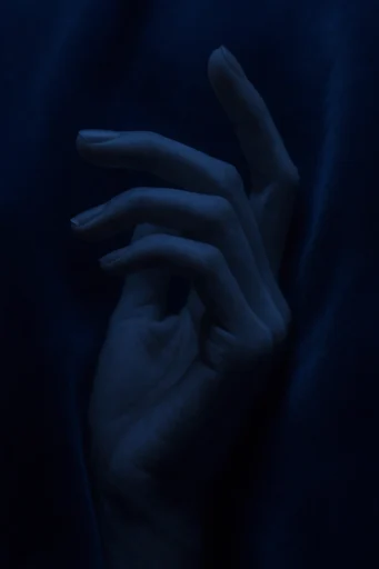 Moody Nocturnal Elegance style reference image — shallow depth of field