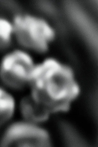 Kinetic Noir Abstraction style reference image — extreme motion blur