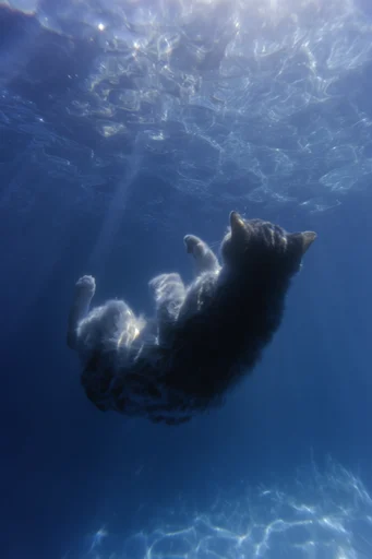 Luminous Abyssal Immersion style AI image example 3