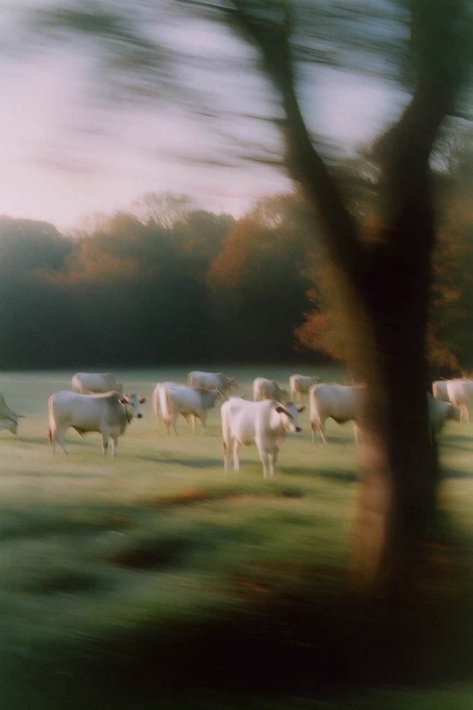 Ethereal Kinetic Impressionism style AI image example 2