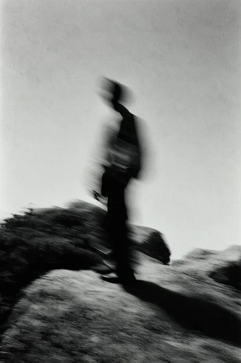 Kinetic Monochrome Minimalism style AI image example 2