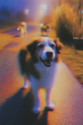 Luminous Analog Glitch style reference image — nocturnal neon contrast