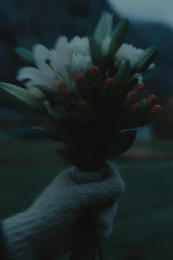 Cold Cinematic Suspense style reference image — shallow depth of field