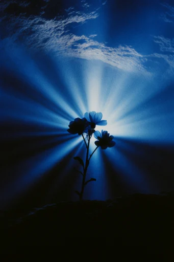 Monochromatic Cobalt Noir style reference image — high-contrast chiaroscuro