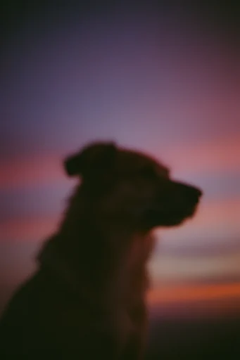Nostalgic Twilight Haze style reference image — ethereal atmospheric glow