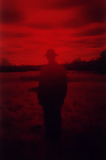 Crimson Tactile Surrealism style reference image — grainy texture