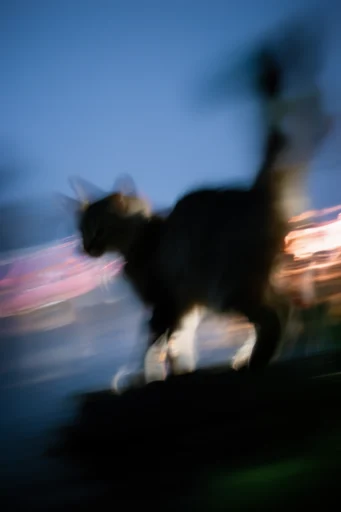 Kinetic Twilight Impressionism style reference image — cinematic motion blur