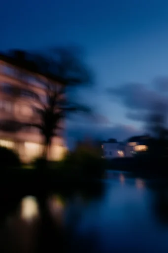 Luminous Nocturnal Fluidity style reference image — nocturnal atmospheric lighting