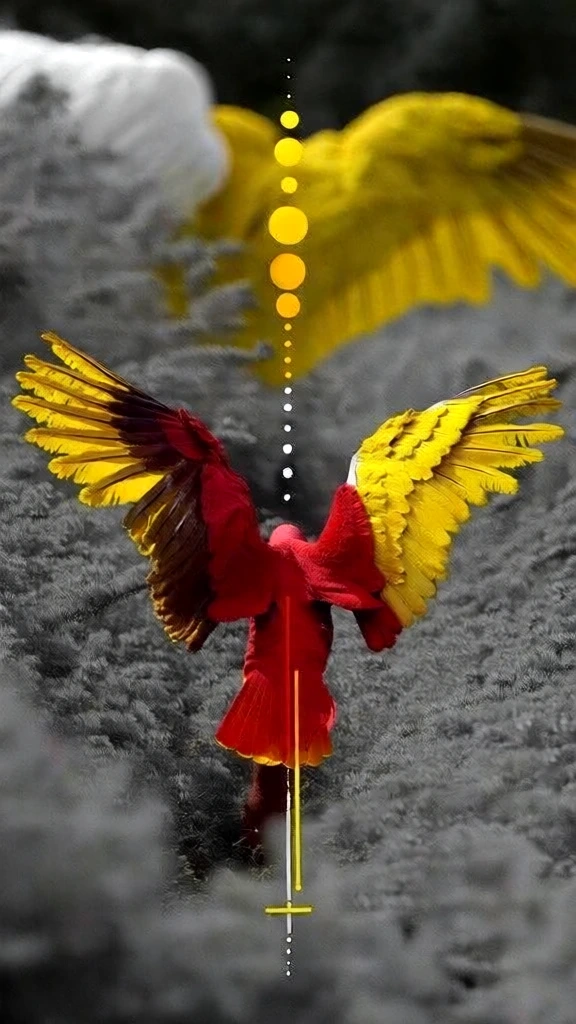 avian wings spread wide in a symmetrical composition, featuring a vertical axis of precise dots and geometric line segments, vibrant saturated yellow feathers contrasting against a desaturated grayscale field of organic textures, bold pops of deep red highlights, high-contrast selective color aesthetic, sharp focus on the graphic central elements, professional studio lighting, conceptual surrealism, minimalist art direction, clean and polished digital finish.