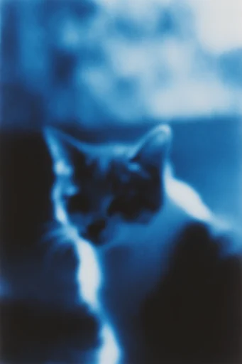Ethereal Nocturnal Cyanotype style reference image — ethereal soft focus
