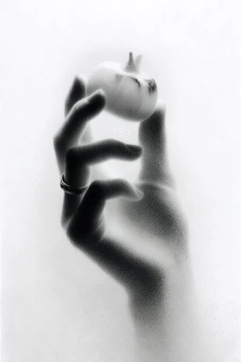 Ethereal Monochrome Grain style reference image — coarse halftone grain
