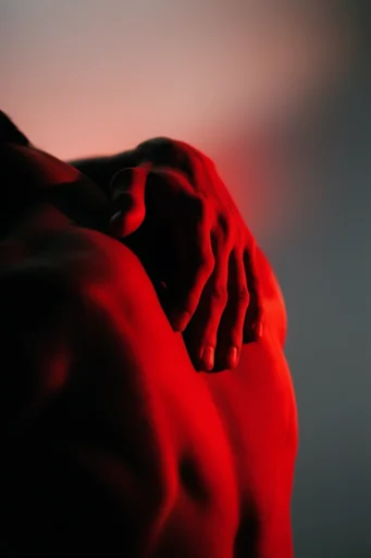 Crimson Silhouette Noir style reference image — minimalist graphic composition