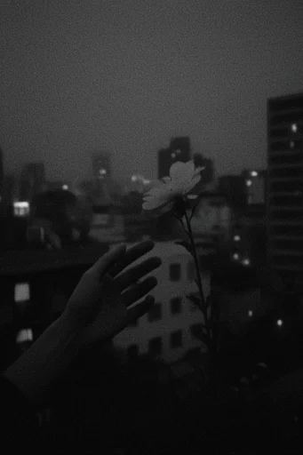 Gritty Monochromatic Noir style reference image — blurry silhouette