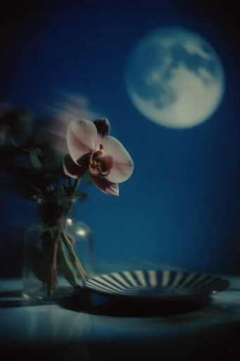 Ethereal Nocturnal Blue style reference image — ethereal moonlight