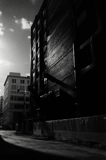 Surreal Noir Noir style reference image — high-contrast black and white