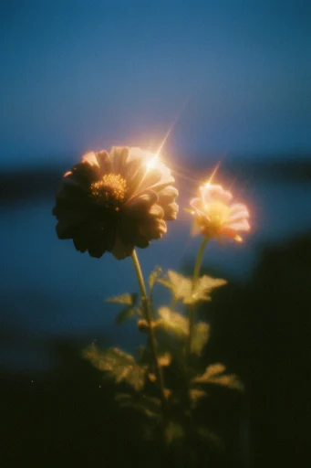 Nocturnal Cinematic Luminescence style reference image — vintage lens flares