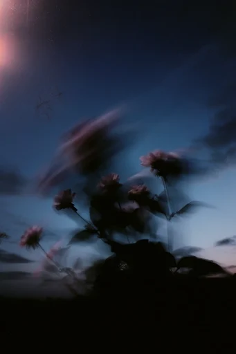 Ethereal Twilight Motion style reference image — dreamy silhouette