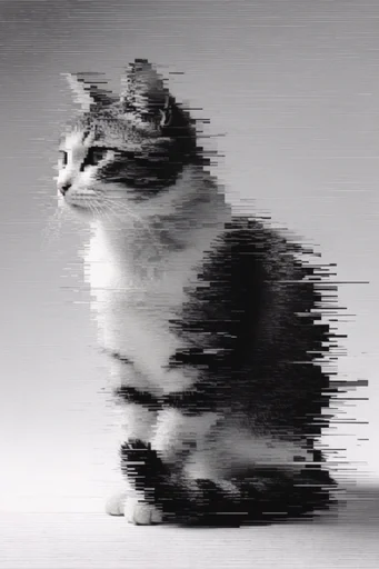 Monochrome Glitch Noir style reference image — scanlines