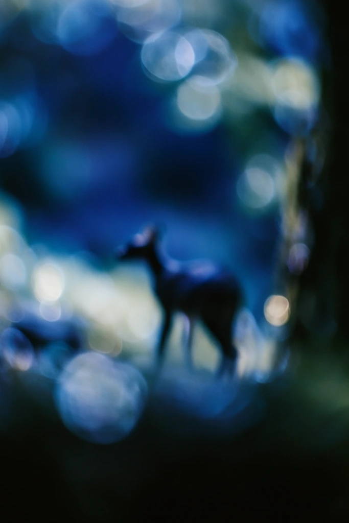 Ethereal Nocturnal Blur style AI image example 3