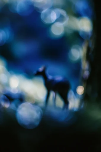 Ethereal Nocturnal Blur style reference image — deep indigo and teal palette