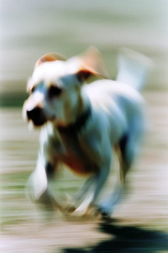 Kinetic Temporal Motion style reference image — ethereal ghosting