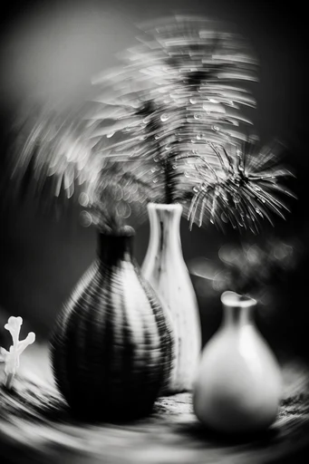 Monochrome Kinetic Vortex style reference image — radial motion blur