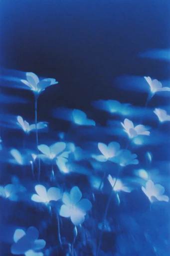 Ethereal Spectral Cyanotype style reference image — spectral silhouette