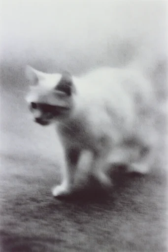 Spectral Monochrome Etherealism style reference image — soft-focus mist