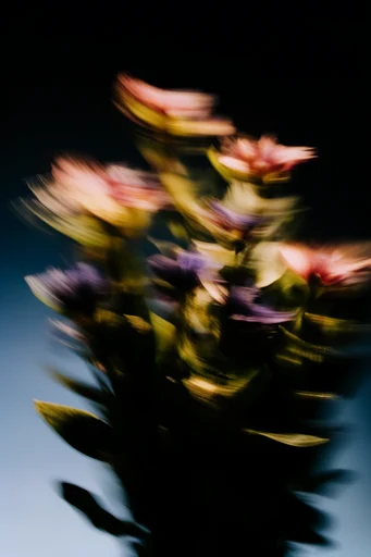 Ethereal Chiaroscuro Motion style reference image — high-contrast monochrome