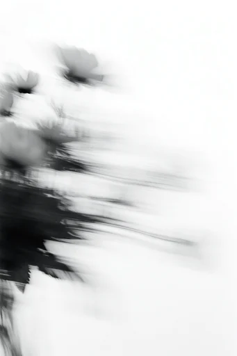 Kinetic Monochrome Minimalism style reference image — heavy film grain