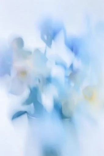Ethereal Kinetic Cyan style reference image — fluid kinetic energy