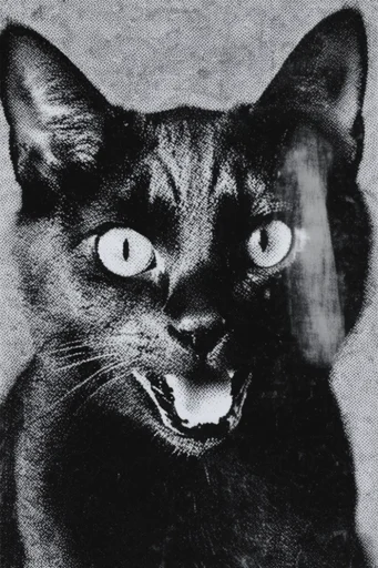 Raw Monochromatic Distorted Noir style reference image — psychological horror mood
