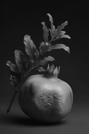 Monochromatic Surrealist Noir style reference image — chiaroscuro lighting