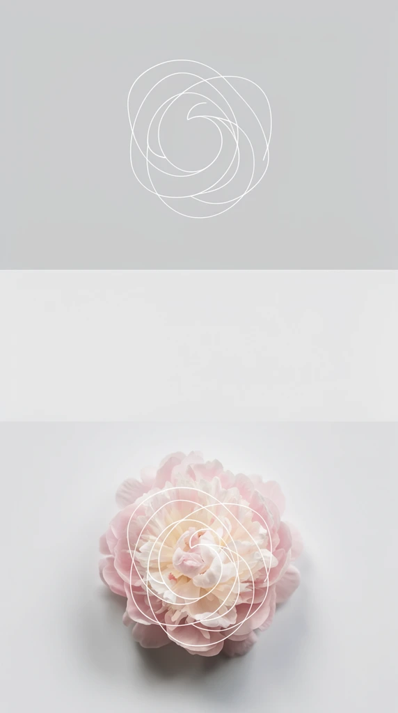 A minimalist vertical triptych layout divided into three horizontal sections against smooth, soft gray backgrounds. The uppermost section features a delicate, continuous thin white line that loops and swirls organically, creating an abstract, overlapping circular motif resembling a stylized blossom. The central band is a pristine, unblemished light gray expanse. The bottom section focuses on a highly realistic, fully bloomed pale pink and cream peony flower captured from a top-down perspective, casting a soft, diffused drop shadow on the bright surface beneath. Superimposed directly over the center of the lush pink petals is the identical swirling white line graphic from the top panel, seamlessly merging photographic botanical realism with crisp, elegant geometric abstraction.