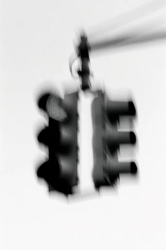 Ethereal Monochrome Motion style reference image — high-contrast black and white