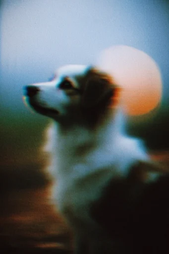Ethereal Analog Nostalgia style reference image — cinematic melancholia