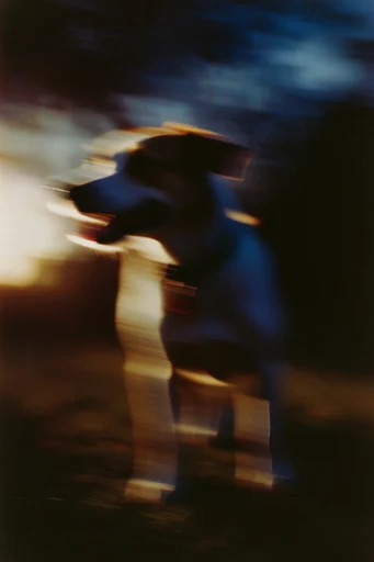 Spectral Kinetic Motion style AI image example 3