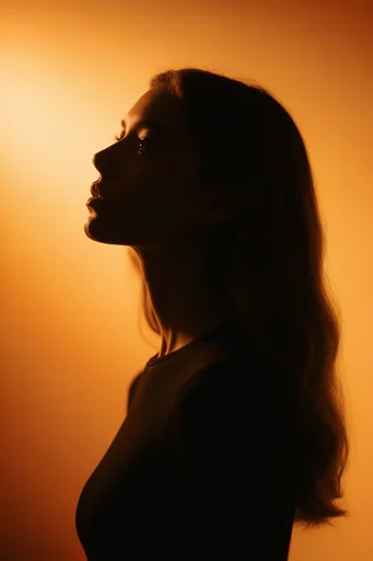 Amber Minimalist Noir style reference image — atmospheric haze