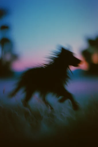Ethereal Twilight Motion style AI image example 3