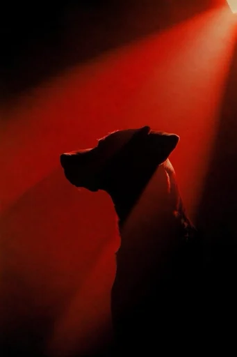 Cinematic Crimson Noir style reference image — theatrical red atmosphere